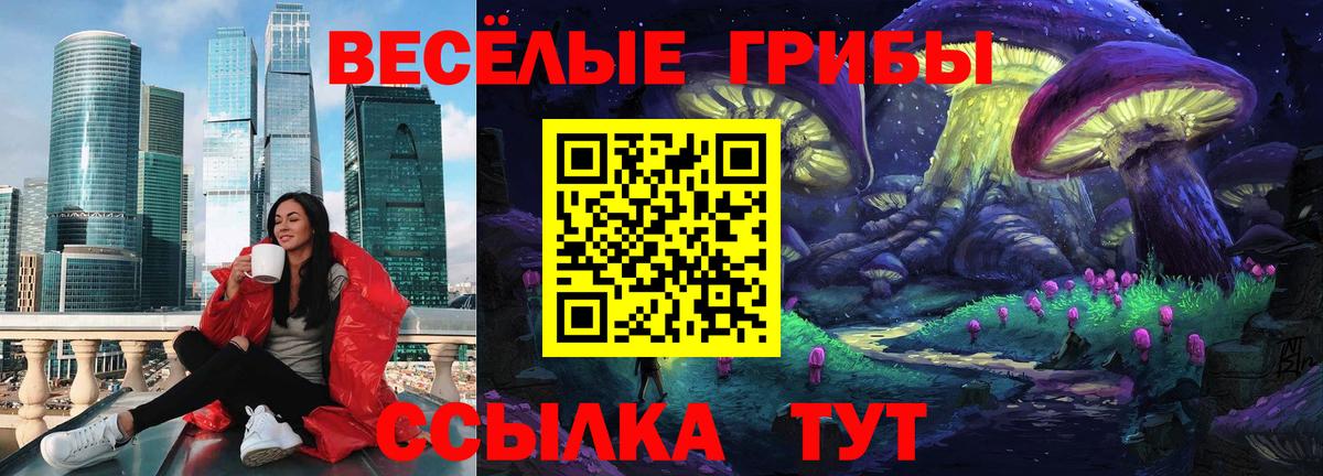 Псилоцибиновые грибы Psilocybine cubensis Рязань