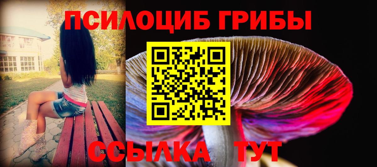 Псилоцибиновые грибы ЛСД  Псилоцибиновые грибы Psilocybine cubensis  Вход с VPN  Рязань 